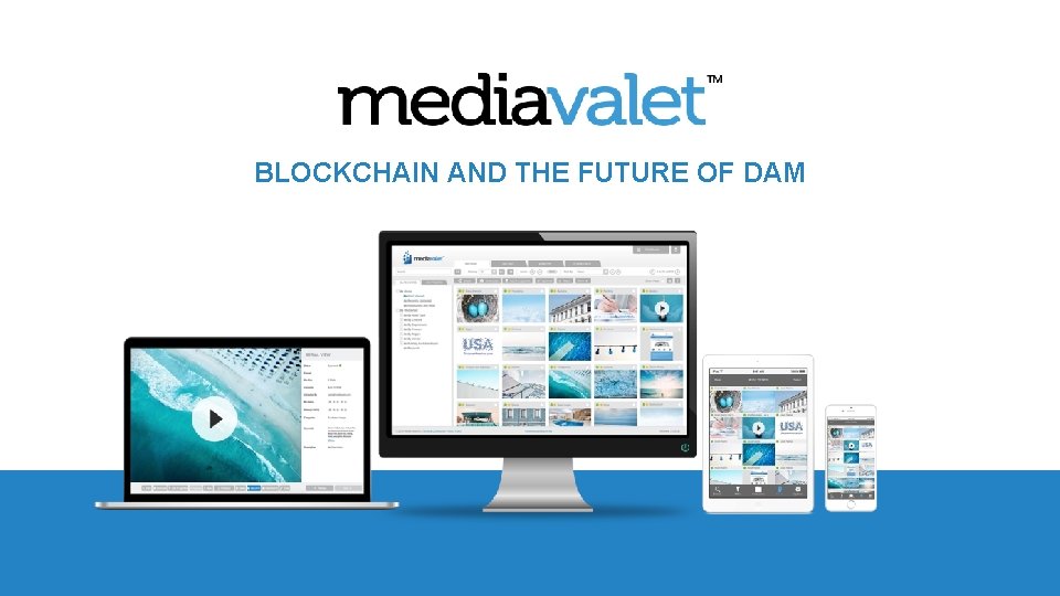 BLOCKCHAIN AND THE FUTURE OF DAM 