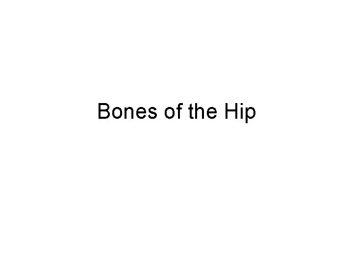 Bones of the Hip 