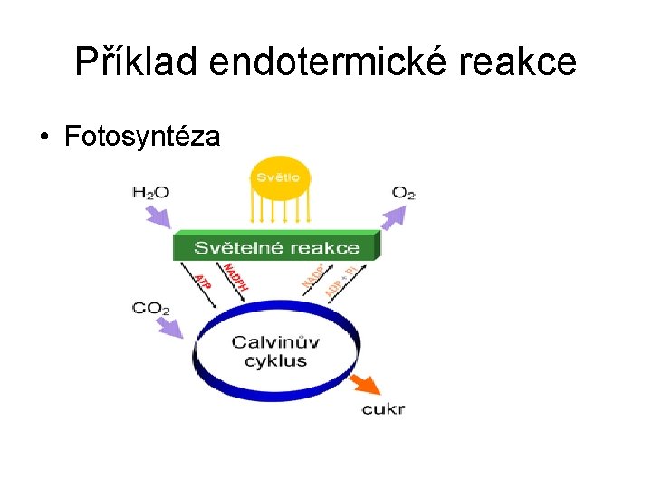 Příklad endotermické reakce • Fotosyntéza 