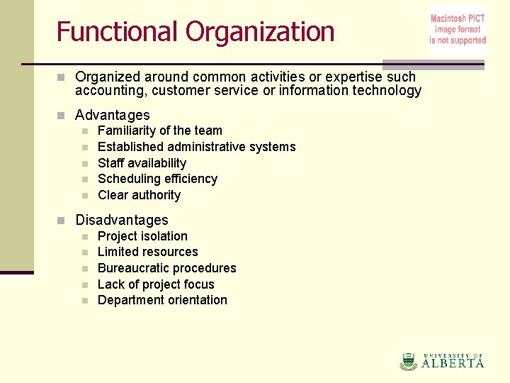 Functional Organization n Organized around common activities or expertise such accounting, customer service or