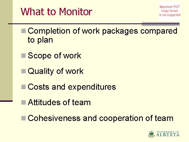 What to Monitor n Completion of work packages compared to plan n Scope of