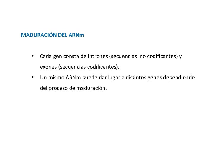 MADURACIÓN DEL ARNm • Cada gen consta de intrones (secuencias no codificantes) y exones