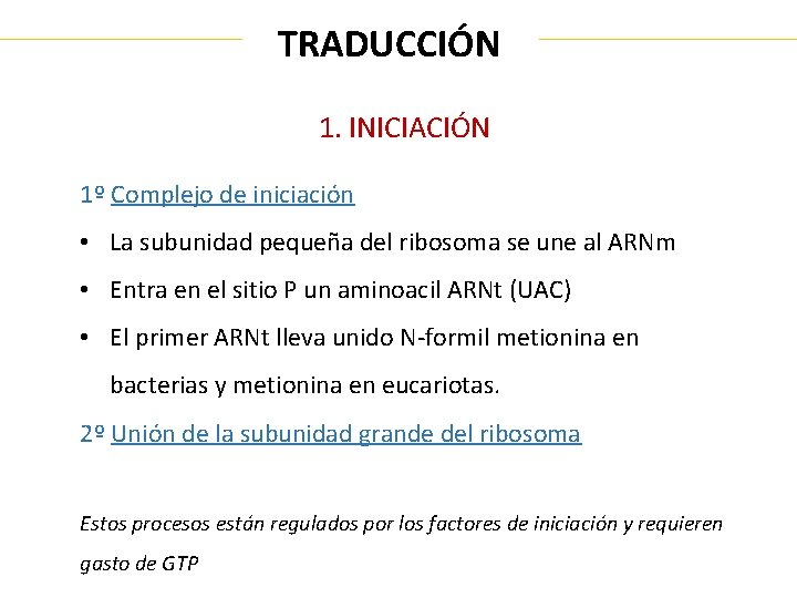 TRADUCCIÓN 1. INICIACIÓN 1º Complejo de iniciación • La subunidad pequeña del ribosoma se