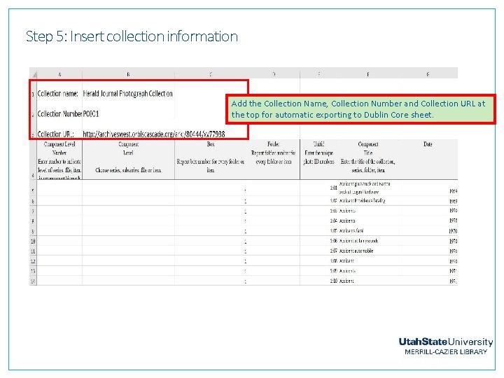 Step 5: Insert collection information Add the Collection Name, Collection Number and Collection URL