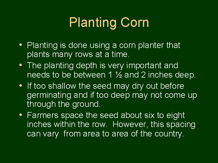 Planting Corn • Planting is done using a corn planter that plants many rows