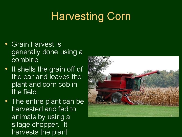 Harvesting Corn • Grain harvest is generally done using a combine. • It shells