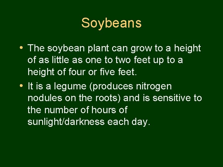 Soybeans • The soybean plant can grow to a height of as little as