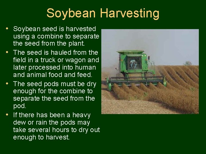 Soybean Harvesting • Soybean seed is harvested using a combine to separate the seed