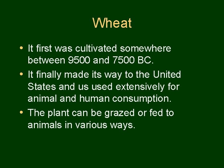 Wheat • It first was cultivated somewhere between 9500 and 7500 BC. • It