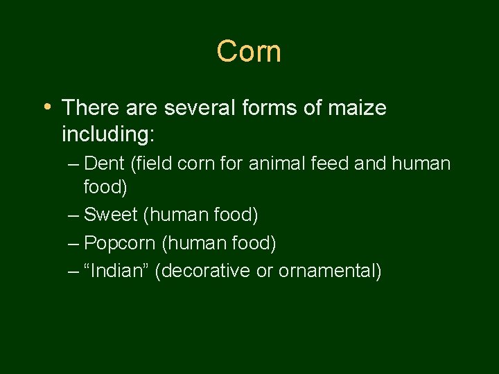 Corn • There are several forms of maize including: – Dent (field corn for