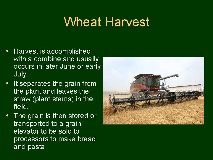 Wheat Harvest • Harvest is accomplished with a combine and usually occurs in later