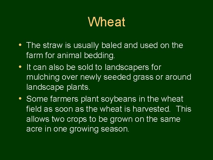 Wheat • The straw is usually baled and used on the farm for animal