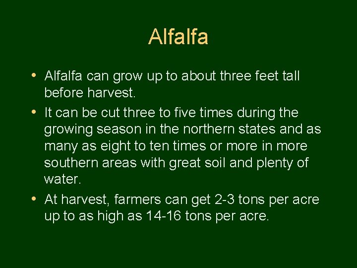 Alfalfa • Alfalfa can grow up to about three feet tall before harvest. •