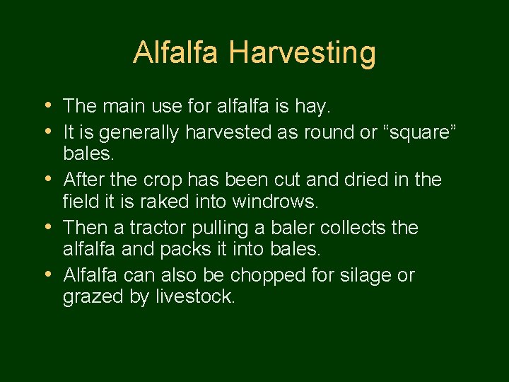 Alfalfa Harvesting • The main use for alfalfa is hay. • It is generally