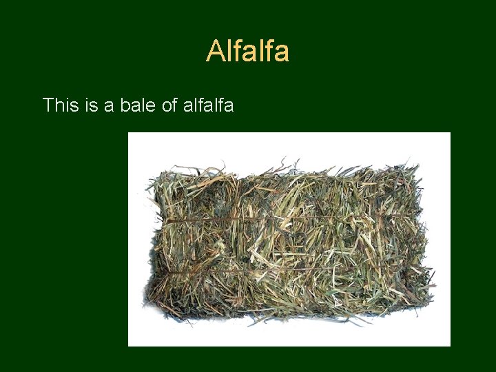 Alfalfa This is a bale of alfalfa 