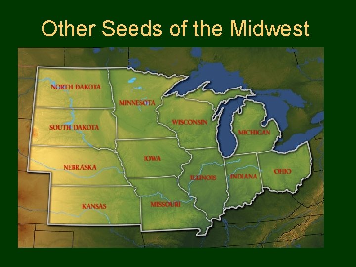 Other Seeds of the Midwest 