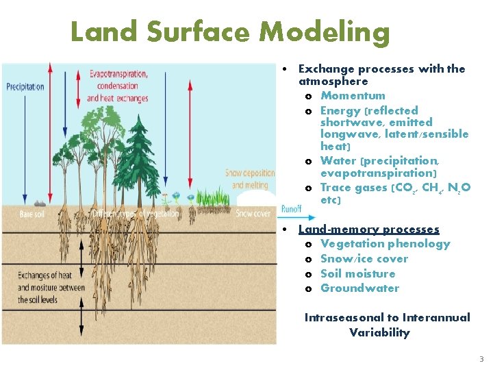 Land Surface Modeling • Exchange processes with the atmosphere o Momentum o Energy (reflected