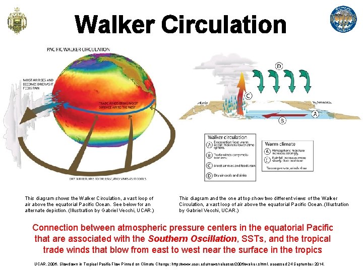 Walker Circulation This diagram shows the Walker Circulation, a vast loop of air above