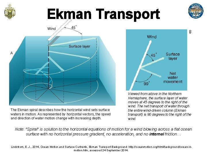Ekman Transport The Ekman spiral describes how the horizontal wind sets surface waters in