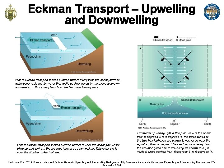 Eckman Transport – Upwelling and Downwelling Where Ekman transport moves surface waters away from