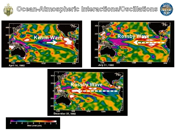 Ocean-Atmospheric Interactions/Oscillations Rossby Wave Kelvin Wave - Progressive gravityinertia wave channeled between two boundaries