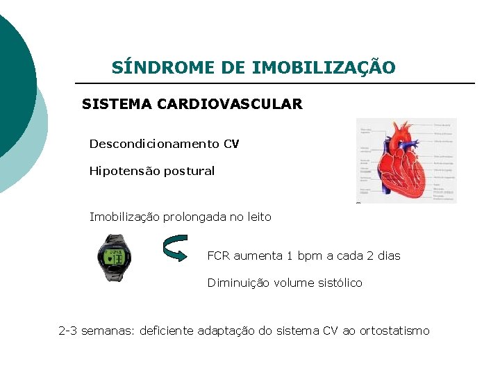 SÍNDROME DE IMOBILIZAÇÃO SISTEMA CARDIOVASCULAR Descondicionamento CV Hipotensão postural Imobilização prolongada no leito FCR