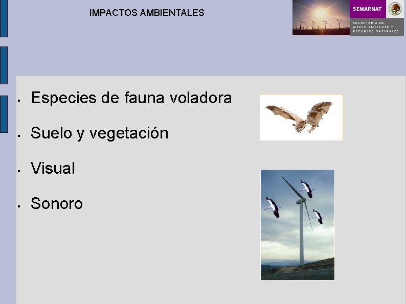 IMPACTOS AMBIENTALES § Especies de fauna voladora § Suelo y vegetación § Visual §