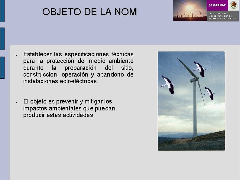 OBJETO DE LA NOM § § Establecer las especificaciones técnicas para la protección del