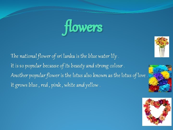 flowers The national flower of sri lanka is the blue water lily. It is