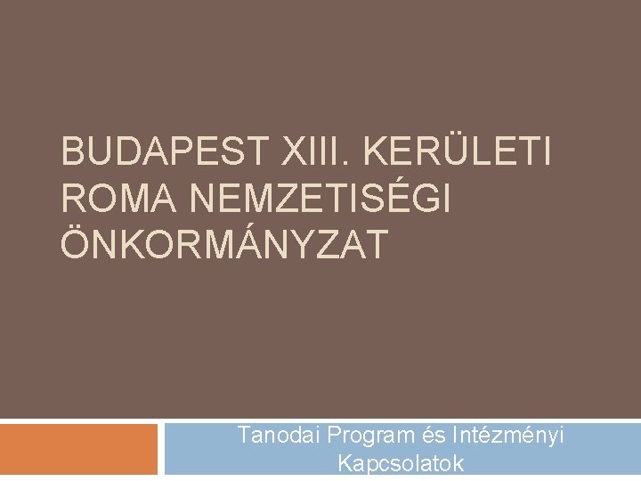 BUDAPEST XIII. KERÜLETI ROMA NEMZETISÉGI ÖNKORMÁNYZAT Tanodai Program és Intézményi Kapcsolatok 