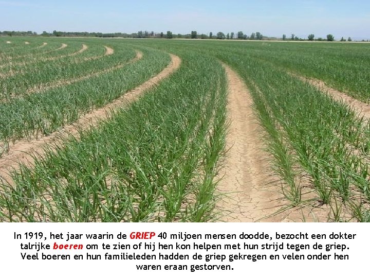 In 1919, het jaar waarin de GRIEP 40 miljoen mensen doodde, bezocht een dokter In 1919, het jaar waarin de GRIEP 40 miljoen mensen doodde, bezocht een dokter