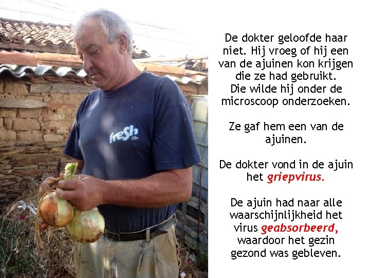 De dokter geloofde haar niet. Hij vroeg of hij een van de ajuinen kon De dokter geloofde haar niet. Hij vroeg of hij een van de ajuinen kon