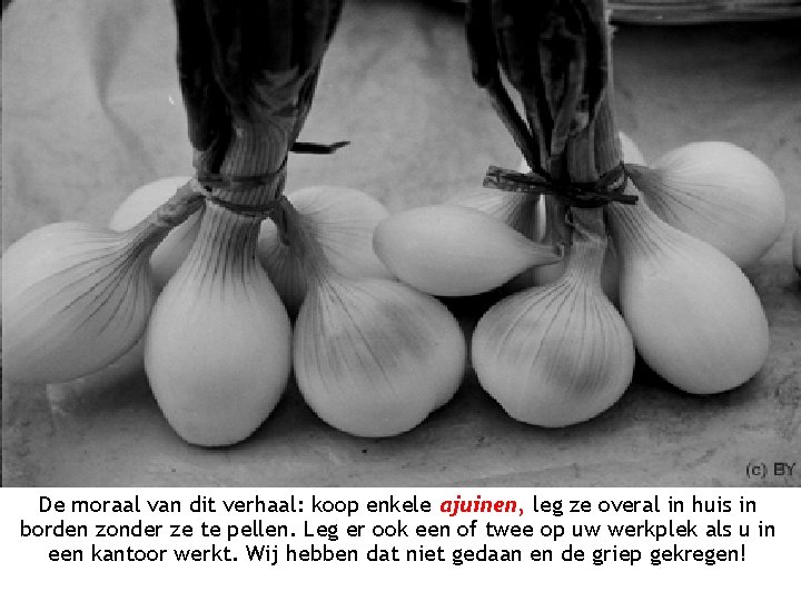 De moraal van dit verhaal: koop enkele ajuinen, leg ze overal in huis in De moraal van dit verhaal: koop enkele ajuinen, leg ze overal in huis in