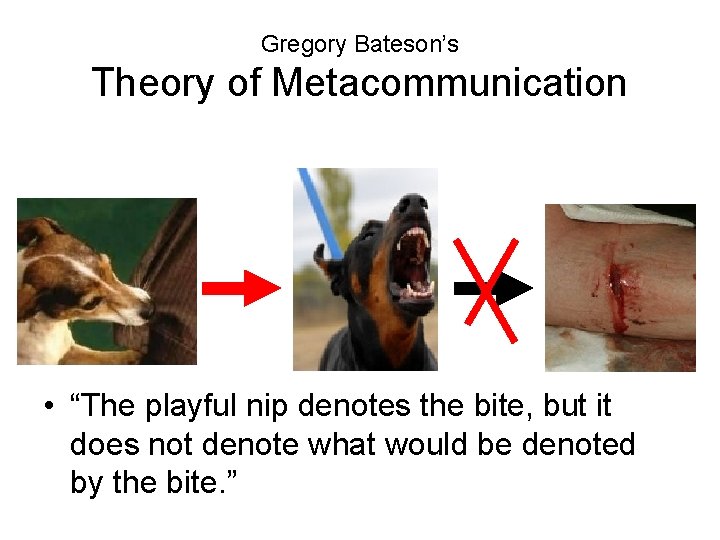 Gregory Bateson’s Theory of Metacommunication • “The playful nip denotes the bite, but it