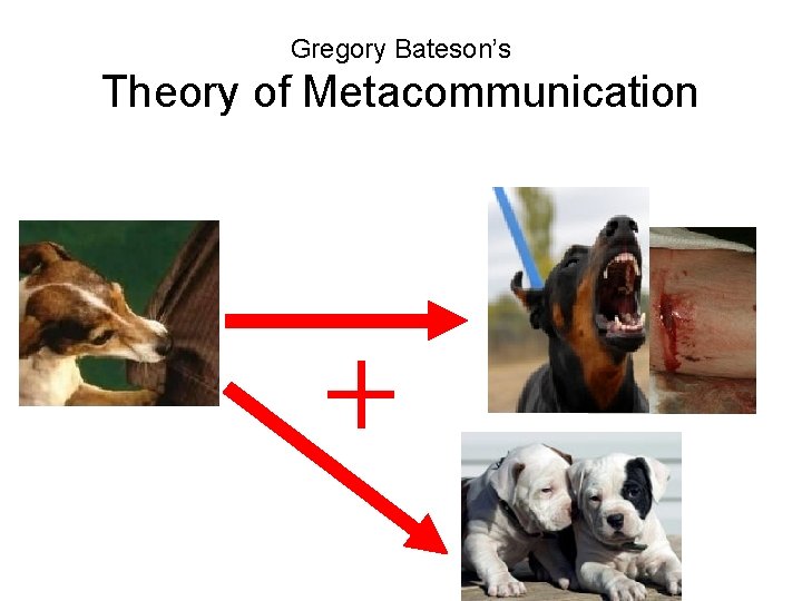 Gregory Bateson’s Theory of Metacommunication 