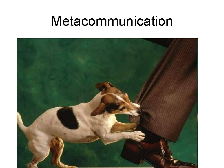 Metacommunication 