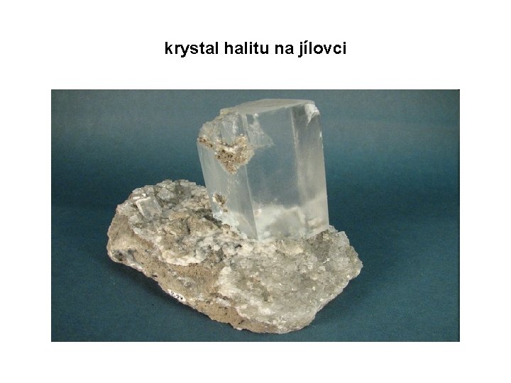 krystal halitu na jílovci krystal halitu na jílovci