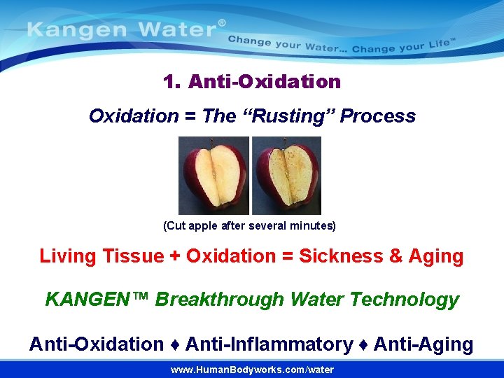 1. Anti-Oxidation = The “Rusting” Process (Cut apple after several minutes) Living Tissue +