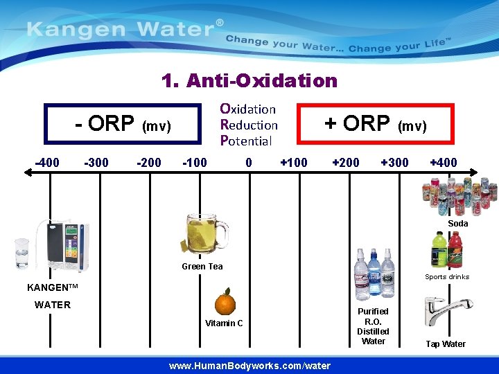 1. Anti-Oxidation Reduction Potential - ORP (mv) -400 -300 -200 -100 0 + ORP