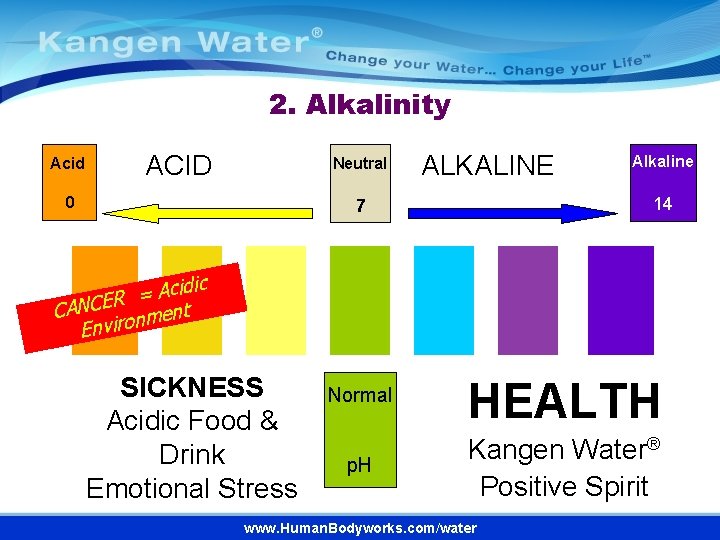 2. Alkalinity Acid ACID Neutral 0 ALKALINE Alkaline 14 7 cidic A = R