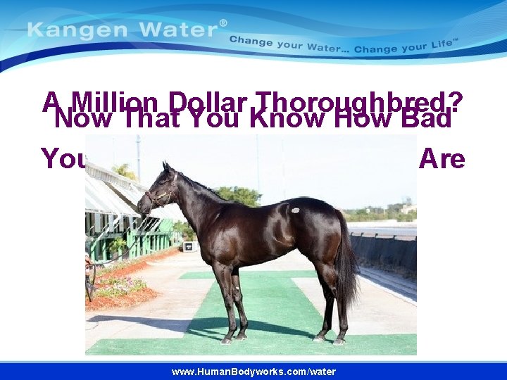 A Million Dollar Thoroughbred? Now That You Know How Bad Your Tap and Bottled