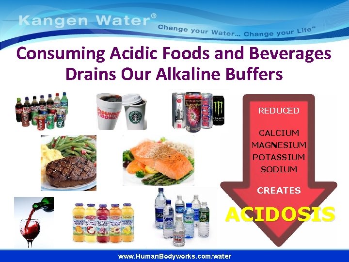 Consuming Acidic Foods and Beverages Drains Our Alkaline Buffers REDUCED CALCIUM MAGNESIUM POTASSIUM SODIUM Consuming Acidic Foods and Beverages Drains Our Alkaline Buffers REDUCED CALCIUM MAGNESIUM POTASSIUM SODIUM