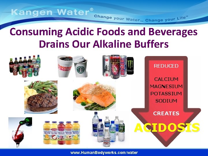 Consuming Acidic Foods and Beverages Drains Our Alkaline Buffers REDUCED CALCIUM MAGNESIUM POTASSIUM SODIUM