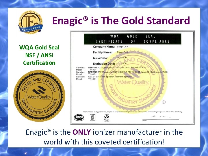 Enagic® is The Gold Standard WQA Gold Seal NSF / ANSI Certification Enagic® is Enagic® is The Gold Standard WQA Gold Seal NSF / ANSI Certification Enagic® is