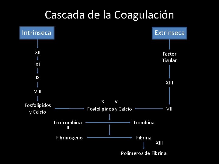 Cascada de la Coagulación Intrínseca Extrínseca XII Factor Tisular XI IX XIII VIII X