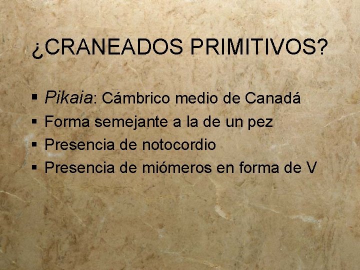 ¿CRANEADOS PRIMITIVOS? § Pikaia: Cámbrico medio de Canadá § Forma semejante a la de