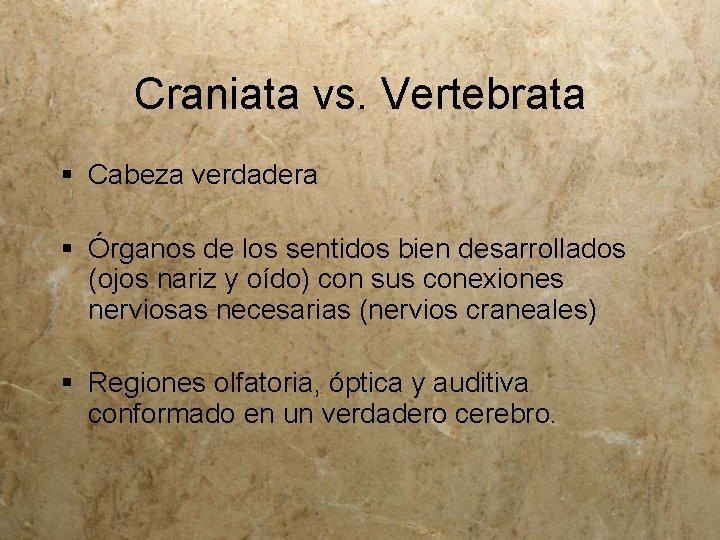 Craniata vs. Vertebrata § Cabeza verdadera § Órganos de los sentidos bien desarrollados (ojos