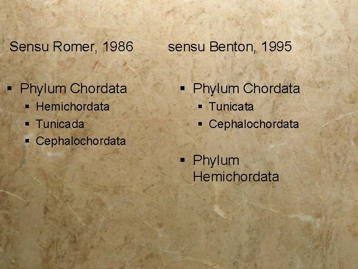 Sensu Romer, 1986 sensu Benton, 1995 § Phylum Chordata § Hemichordata § Tunicada §