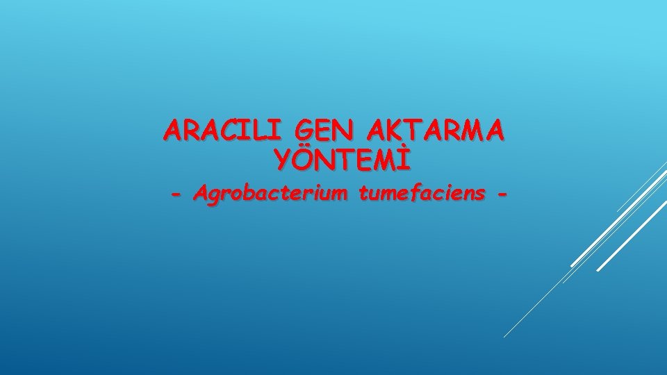 ARACILI GEN AKTARMA YÖNTEMİ - Agrobacterium tumefaciens - 