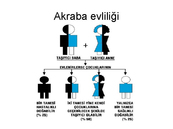 Akraba evliliği 